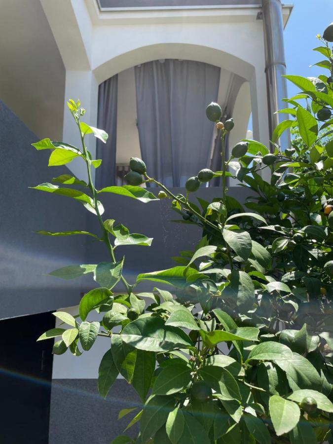 Ferienwohnung Mare Zadar Exterior foto